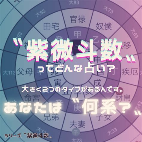 紫微斗数 2024|紫微斗数占い｜あなたの「本質・性格・運命」を完全 